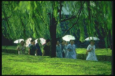 Женщины гуляют по парку под зонтиками