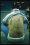 Татуировка на спине у мужчины