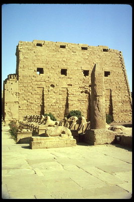 الجدار والآثار في مصر
