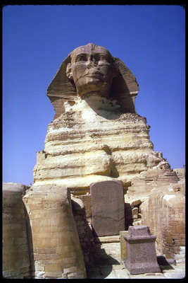 Sphinx. Pohled zepředu