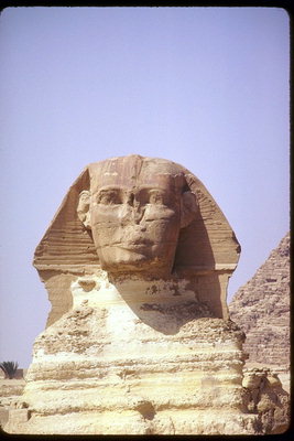Sphinx. Önden Görünüm