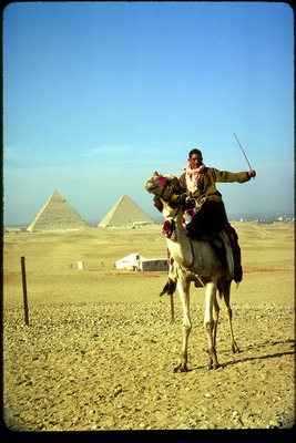 Человек идущий на верблюде по пустыне с пирамидами