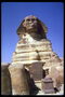 Sphinx. Tingnan ang harap