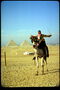 Человек идущий на верблюде по пустыне с пирамидами
