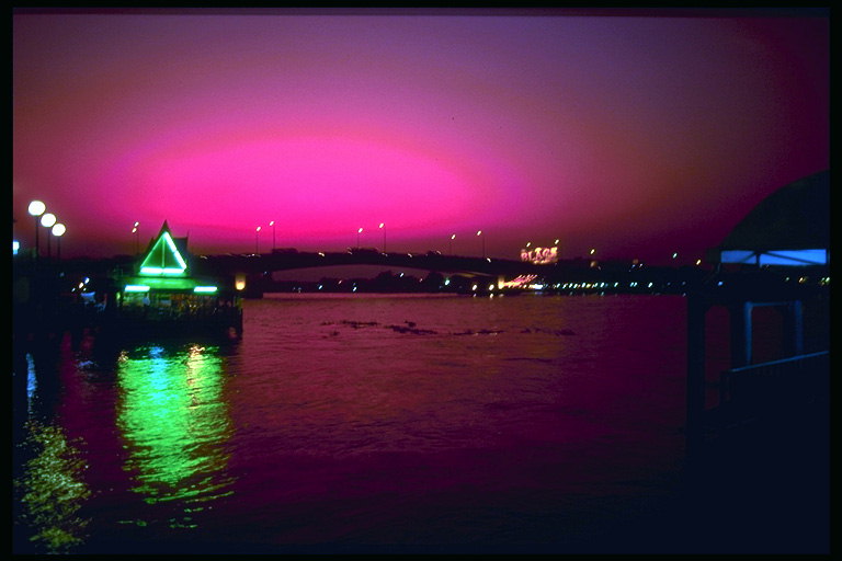 Đêm thành phố. Đèn sáng màu hồng của thành phố