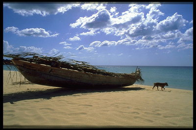 Perahu yang berada di pantai berpasir berlindung dari matahari daun
