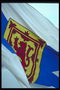 Флаг. Изображение льва на бело-голубом фоне