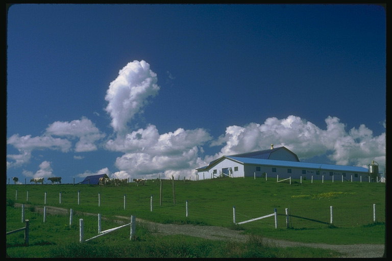 Белоснежные облака над фермой