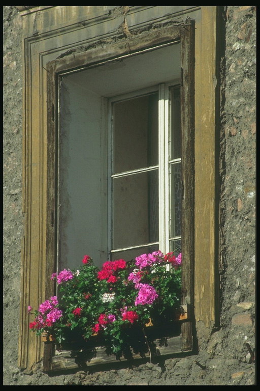 Вікно будинку з квітами