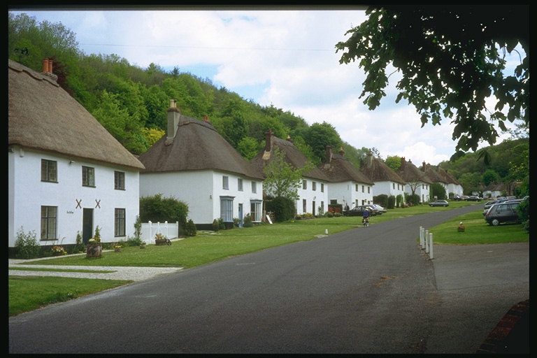 Houses in the Park