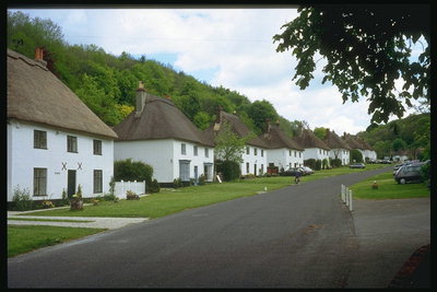 Houses in the Park
