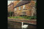 Rumah-rumah di dekat sungai. Swan di pantai