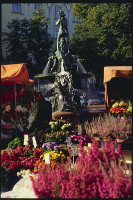 Město oblasti. Prodej květin