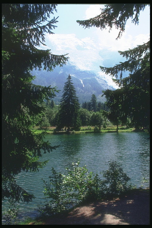 Горное озеро в хвойном лесу. Вершины гор скрытые облаками