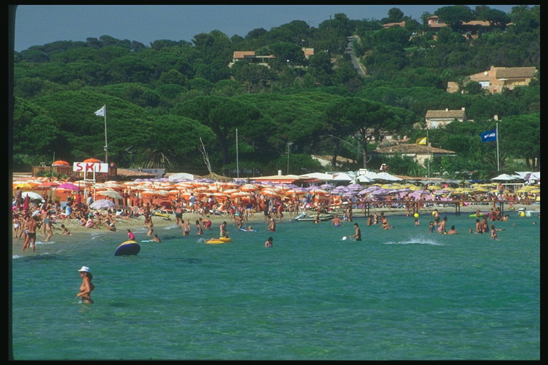 Лето. Пляж с купающимися людьми