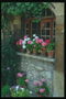 Подоконник дома с горшками цветущих цветов
