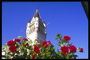 Куст красных роз на фоне белой возвышающейся башни