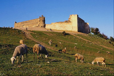 Руины дома. Овцы на склоне холма