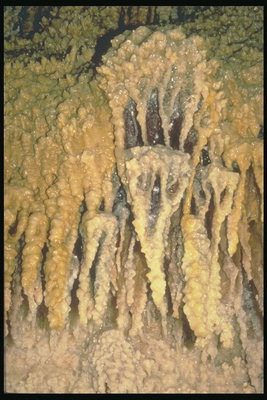 Пещерные отложения на стенах