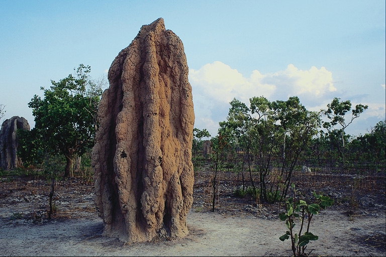 Каменный столб посреди пустыни
