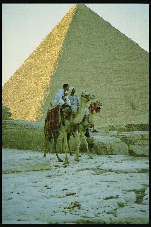Люди на верблюдах на фоне пирамиды