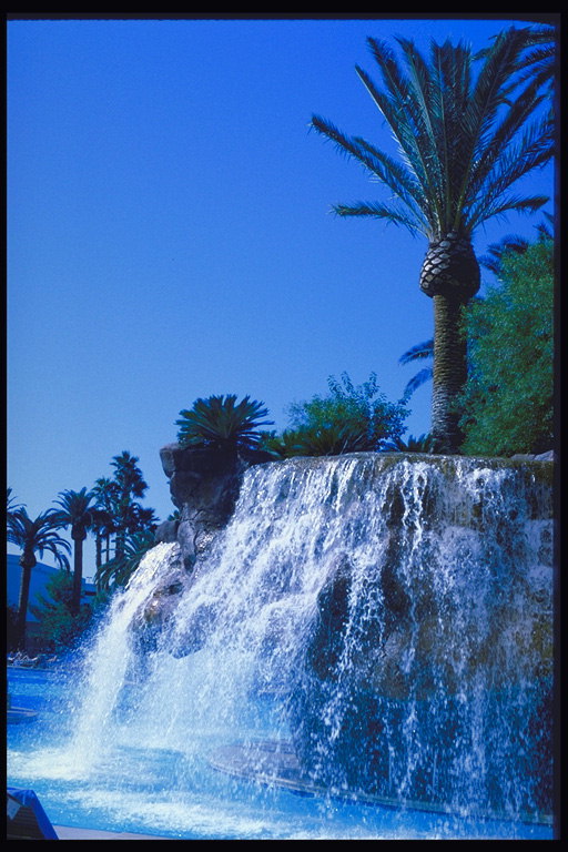 Водопад с камней и пальма