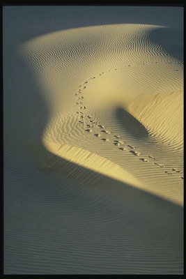 Следы человека на поверхности песка