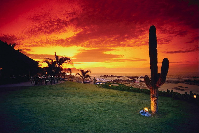 Kleurrijke zonsondergang. Verre gemeente. Cactus en palmbomen.