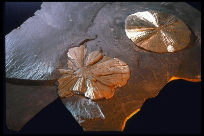 Камень с золотистыми рисунками в виде дисков