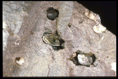 Серо-коричневого тона камень с кусочками прозрачных кристалов