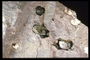 Серо-коричневого тона камень с кусочками прозрачных кристалов