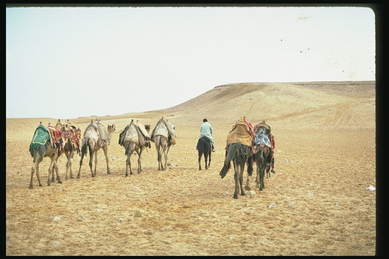 Пешеходни през пустинята