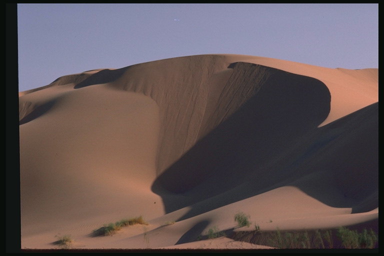 Desert meri