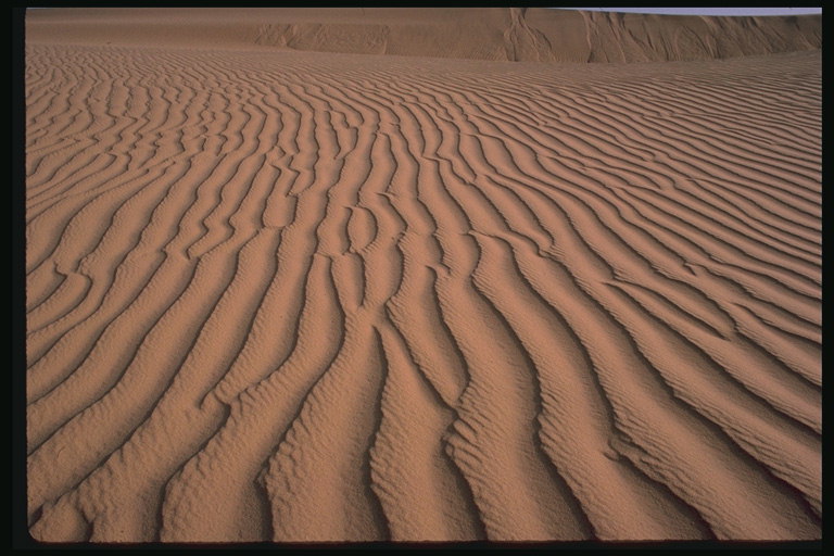 الصحراء والبحر والرمال