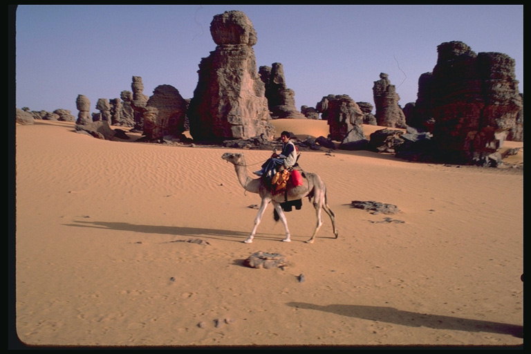 Camiños no desérticas, en camelo