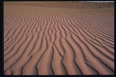 Mar de arena del desierto