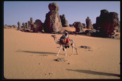 Promenader i öknen på kamel
