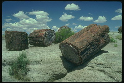 Elhullott köveket a sivatagban