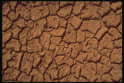 砂漠の乾燥した季節