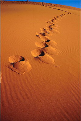 Следы на песке 