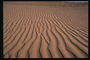 Mer de sable du désert