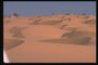 Sivatag, homok, egy fa