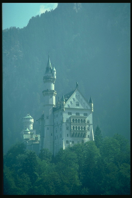 Замок среди зелени на утесе. Туманная погода