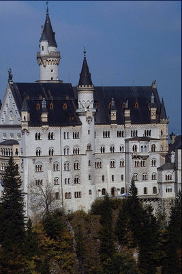 Замок с белыми стенами и темно-коричневыми крышами