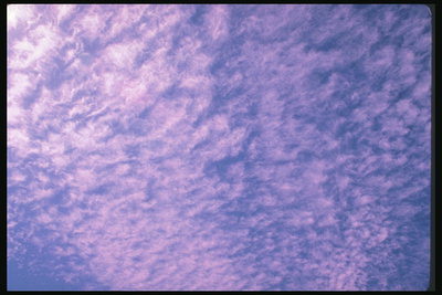 Пузырьки розовых облаков