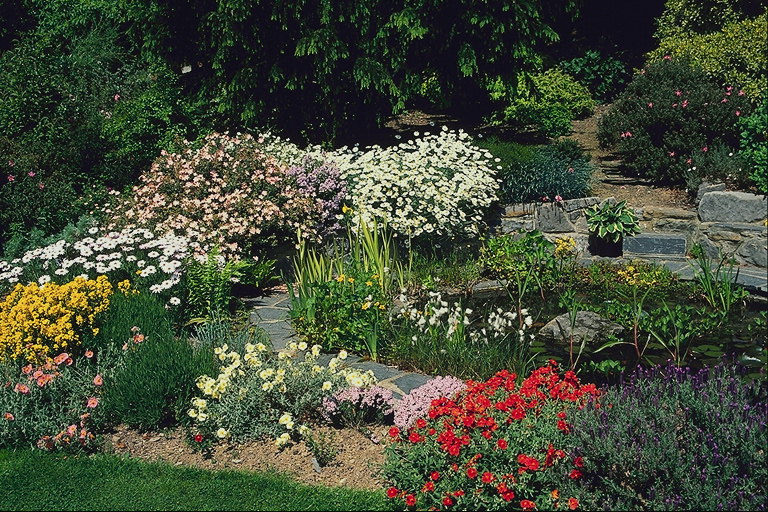 A composición de flores a partir da arbustos.