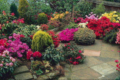Terrasse med busker og blomster.