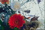 La composición de gerberas rojas, claveles blancos en vidrio Cruse