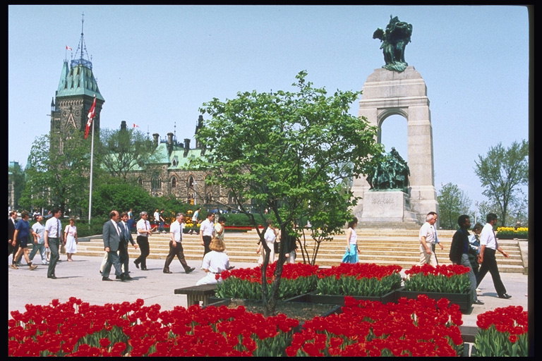 Parque. Monumento. Unha árbore e tulipas vermellas