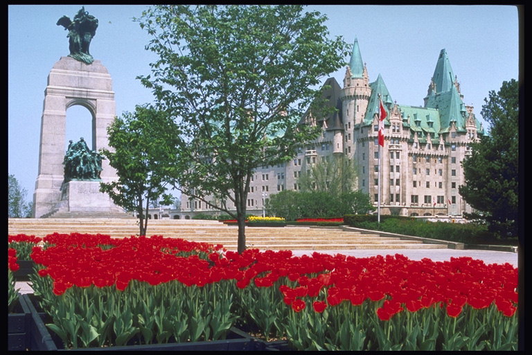 Castello, un monumento, una aiuola di tulipani rossi